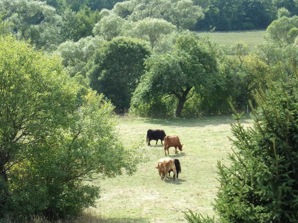Ederauenblick Dodenau Exterior foto